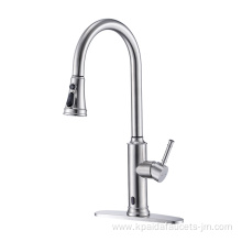 Brush Nickel Chrome Flexible Kitchen Faucet